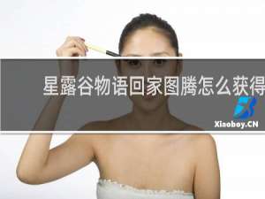 星露谷物语回家图腾怎么获得