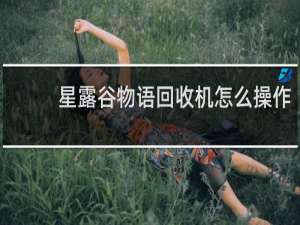 星露谷物语回收机怎么操作