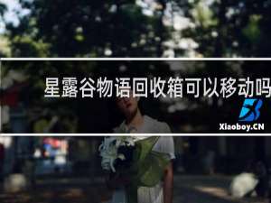 星露谷物语回收箱可以移动吗