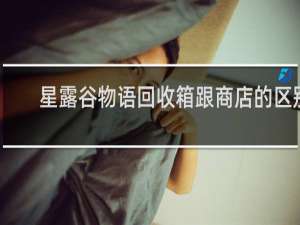 星露谷物语回收箱跟商店的区别