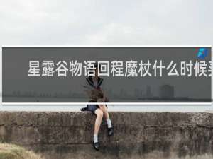 星露谷物语回程魔杖什么时候买