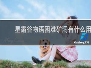 星露谷物语困难矿洞有什么用