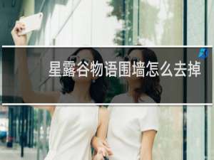 星露谷物语围墙怎么去掉