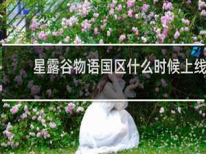 星露谷物语国区什么时候上线