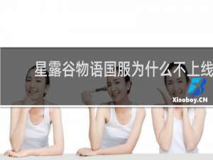 星露谷物语国服为什么不上线