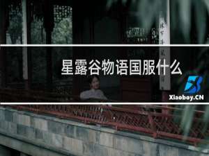 星露谷物语国服什么