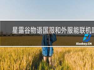 星露谷物语国服和外服能联机吗