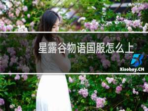 星露谷物语国服怎么上