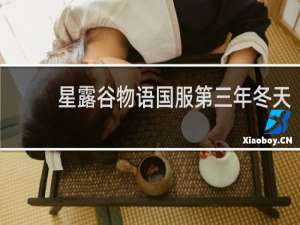 星露谷物语国服第三年冬天