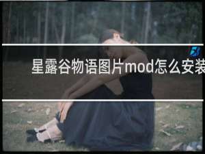 星露谷物语图片mod怎么安装