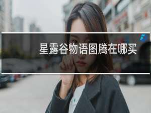 星露谷物语图腾在哪买