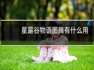 星露谷物语图腾有什么用