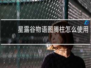 星露谷物语图腾柱怎么使用