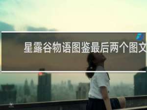 星露谷物语图鉴最后两个图文