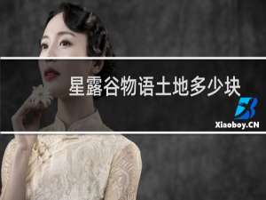 星露谷物语土地多少块