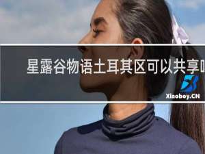 星露谷物语土耳其区可以共享吗