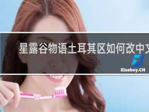 星露谷物语土耳其区如何改中文