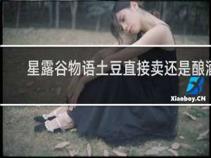 星露谷物语土豆直接卖还是酿酒