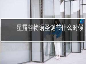 星露谷物语圣诞节什么时候