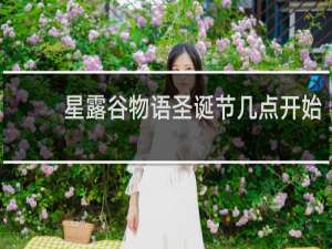 星露谷物语圣诞节几点开始