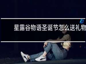 星露谷物语圣诞节怎么送礼物