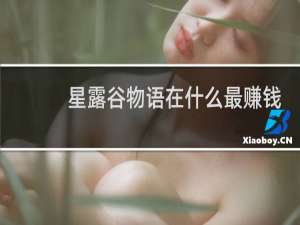 星露谷物语在什么最赚钱