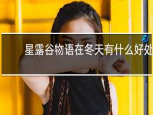 星露谷物语在冬天有什么好处