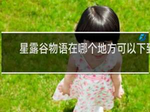 星露谷物语在哪个地方可以下到