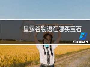 星露谷物语在哪买宝石