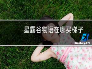 星露谷物语在哪买梯子