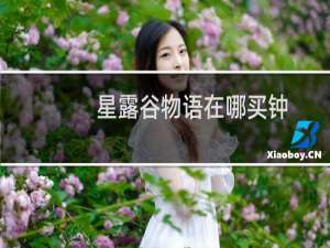 星露谷物语在哪买钟