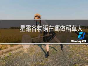 星露谷物语在哪做稻草人