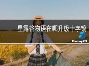 星露谷物语在哪升级十字镐