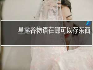 星露谷物语在哪可以存东西