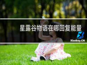 星露谷物语在哪回复能量