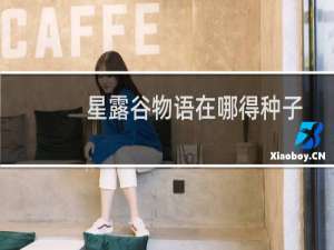 星露谷物语在哪得种子