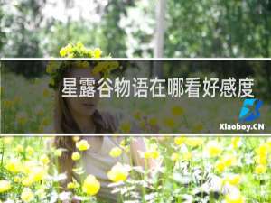星露谷物语在哪看好感度