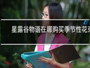 星露谷物语在哪购买季节性花束
