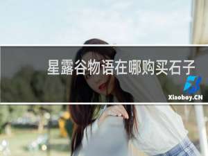星露谷物语在哪购买石子