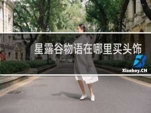 星露谷物语在哪里买头饰