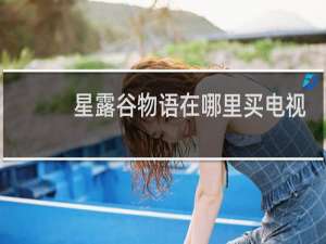 星露谷物语在哪里买电视