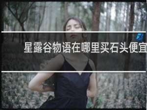 星露谷物语在哪里买石头便宜