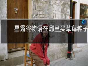 星露谷物语在哪里买草莓种子