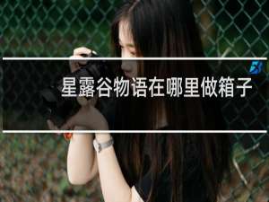 星露谷物语在哪里做箱子