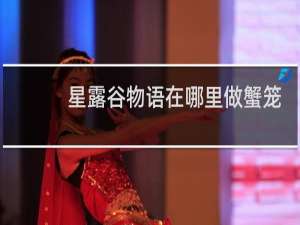 星露谷物语在哪里做蟹笼