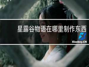 星露谷物语在哪里制作东西