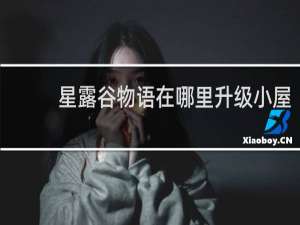 星露谷物语在哪里升级小屋