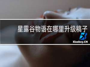 星露谷物语在哪里升级稿子