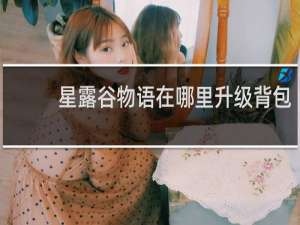 星露谷物语在哪里升级背包