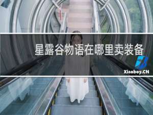 星露谷物语在哪里卖装备